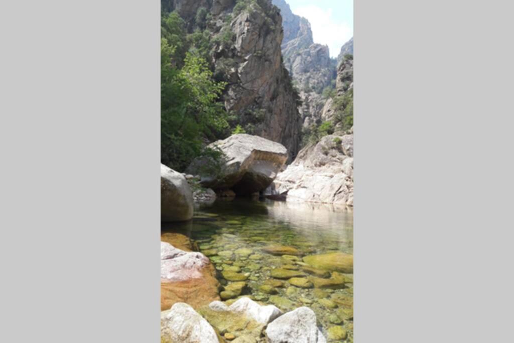 Appartement Les Pieds Dans L'Eau 300 M Plage - 2 Piscines Linguizzetta Екстер'єр фото